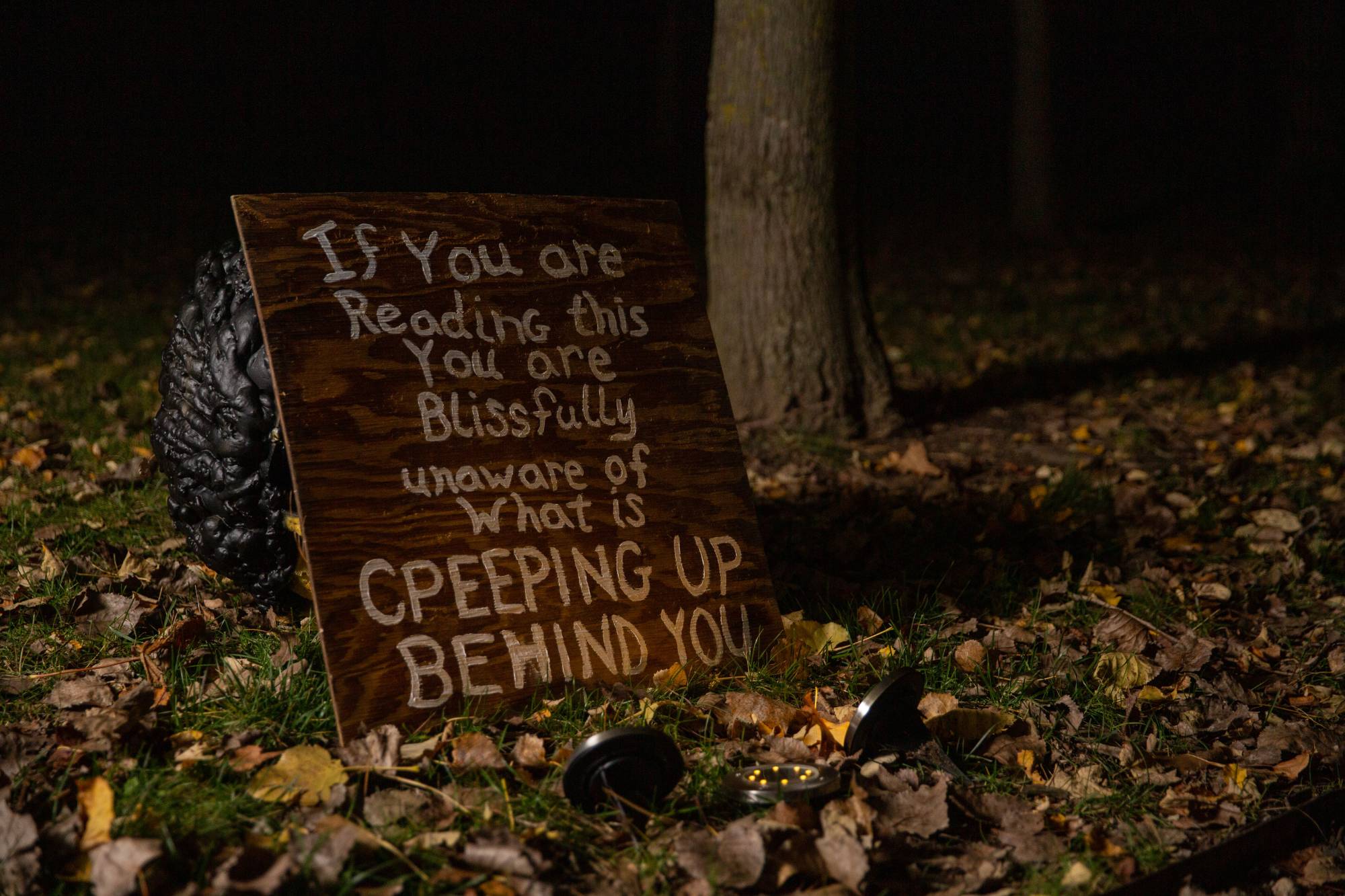 Wooden sign that reads "If you are reading this you are blissfully unaware of what is creeping up behind you".